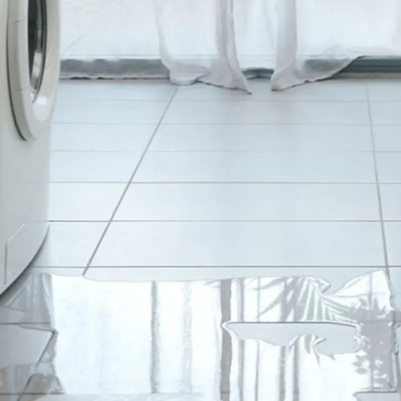 Appliance Leak Cleanup in Kingsland, GA