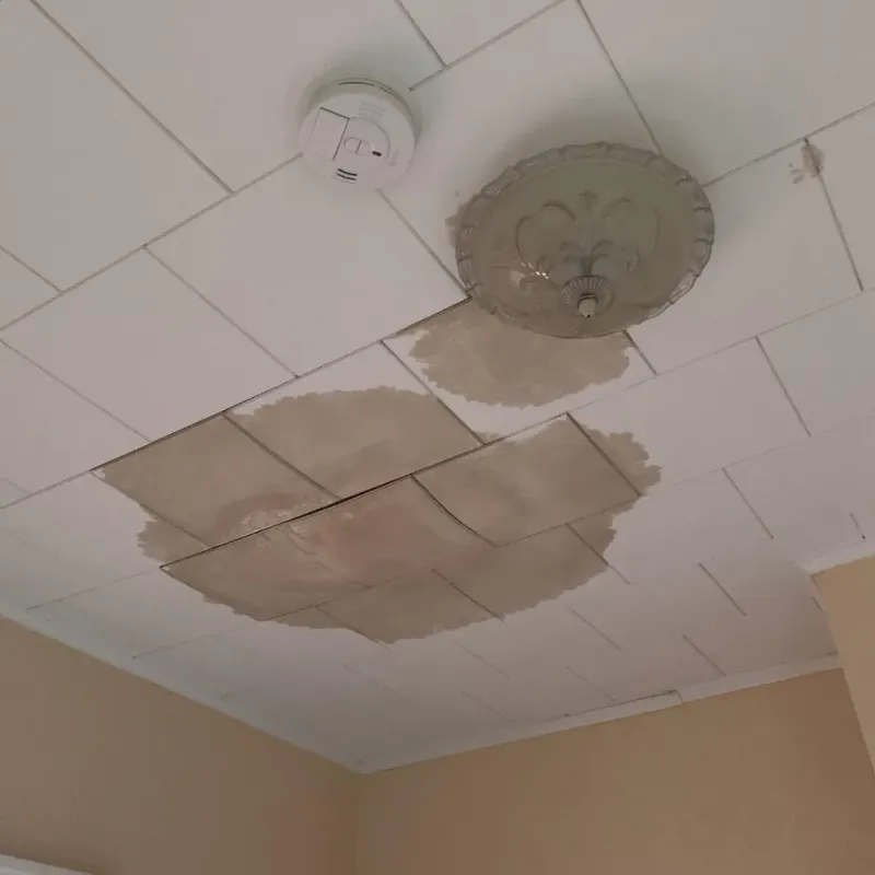 Ceiling Water Damage Repair in Kingsland, GA